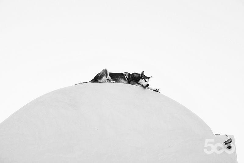 http://reho.st/photos.500px.com/193856/4