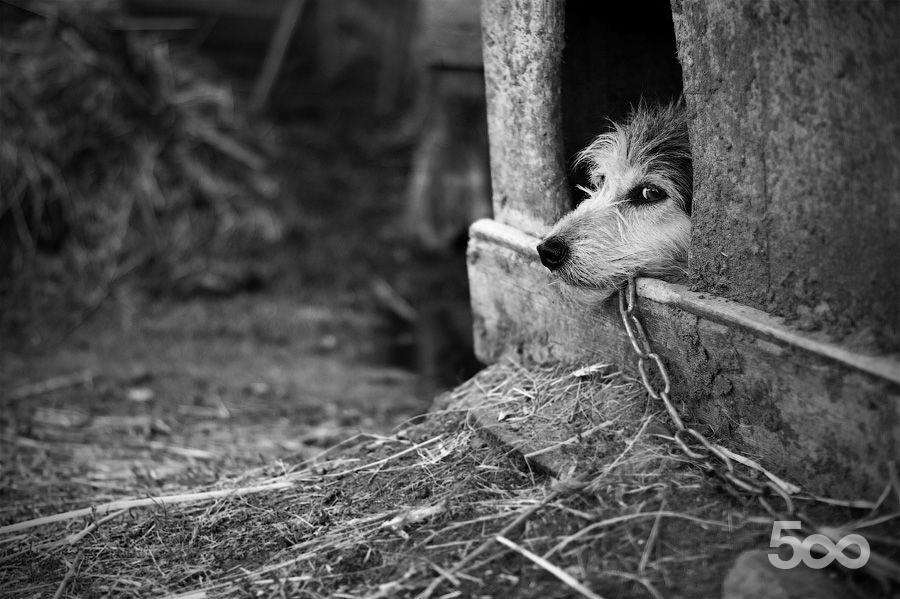 http://reho.st/photos.500px.com/91046/4