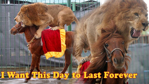 http://reho.st/preview/29.media.tumblr.com/tumblr_ld2fn6Uz0y1qdpixdo1_500.jpg