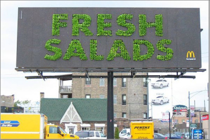 http://reho.st/preview/3.bp.blogspot.com/_KNKNrrvs9Es/TNmZ8_GdTtI/AAAAAAAAHPs/MQkfrLCkAWc/s1600/mcdonalds_salad.img_assist_custom.jpg