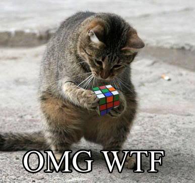http://reho.st/preview/i330.photobucket.com/albums/l432/bleeding_heart_fascist/Cats/omgwtf.jpg