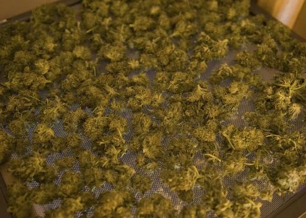 http://reho.st/preview/i690.photobucket.com/albums/vv261/onlinefmradio/General-photo/ganja-production-5.jpg