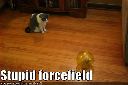 http://reho.st/preview/icanhascheezburger.files.wordpress.com/2008/09/funny-pictures-cat-is-angry-at-forcefield-of-hamster.jpg