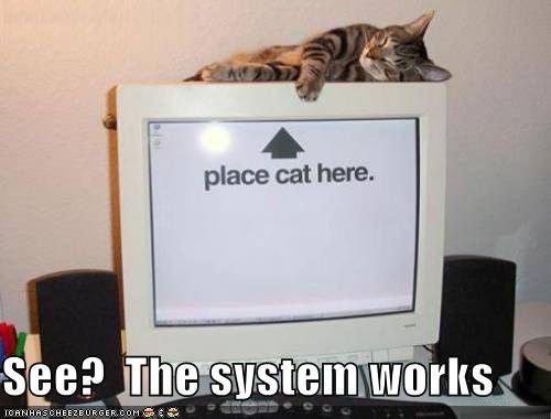 http://reho.st/preview/icanhascheezburger.files.wordpress.com/2008/09/funny-pictures-cat-is-sleeping-on-the-computer-monitor-as-per-instructions.jpg