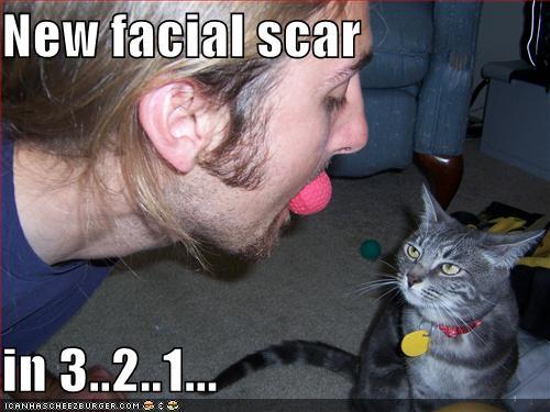 http://reho.st/preview/icanhascheezburger.files.wordpress.com/2008/09/funny-pictures-human-is-about-to-get-a-new-facial-scar.jpg