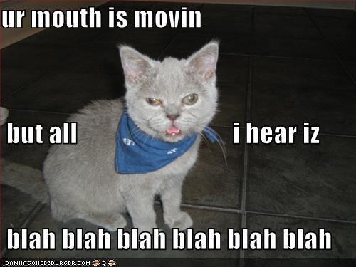 http://reho.st/preview/icanhascheezburger.files.wordpress.com/2008/09/funny-pictures-your-cat-is-not-really-interested-in-what-you-are-saying.jpg