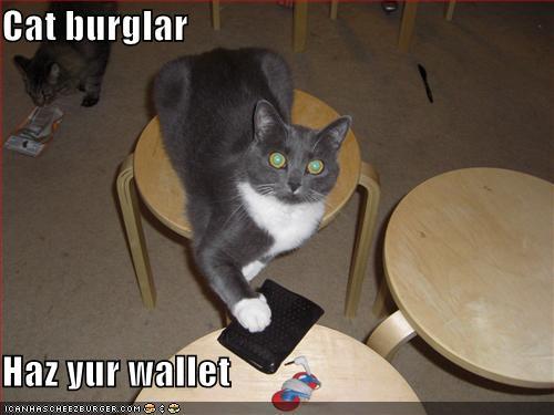 http://reho.st/preview/icanhascheezburger.files.wordpress.com/2008/09/funny-pictures-your-cat-is-stealing-your-wallet.jpg
