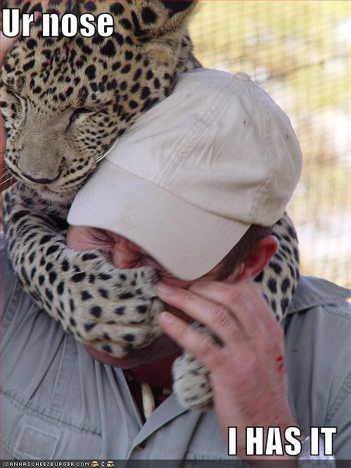 http://reho.st/preview/icanhascheezburger.files.wordpress.com/2008/10/funny-pictures-big-cat-has-got-your-nose.jpg