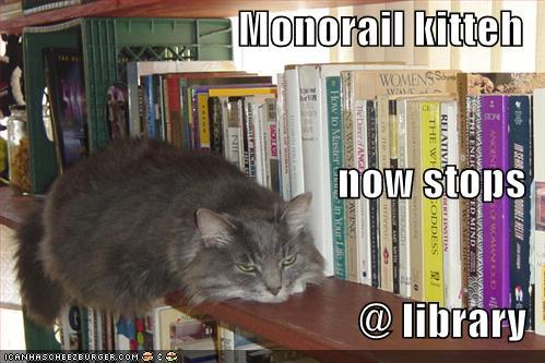http://reho.st/preview/icanhascheezburger.files.wordpress.com/2008/10/funny-pictures-monoral-cat-now-stops-at-the-library.jpg