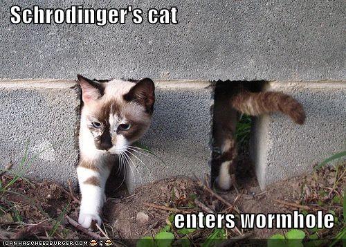 http://reho.st/preview/icanhascheezburger.files.wordpress.com/2008/10/funny-pictures-the-cat-of-schrodinger-enters-a-wormhole.jpg