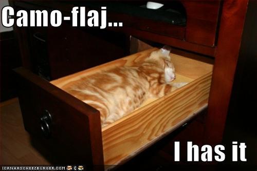 http://reho.st/preview/icanhascheezburger.files.wordpress.com/2008/10/funny-pictures-your-cat-sure-has-camoflage.jpg