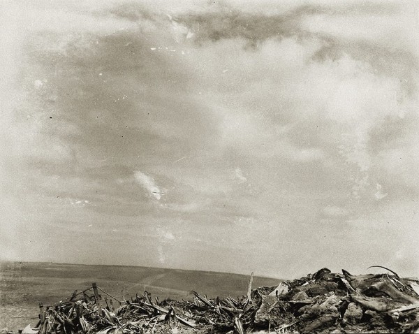 http://reho.st/preview/ilikethisart.net/wp-content/uploads/Smejkal_P-04-600x478.jpg