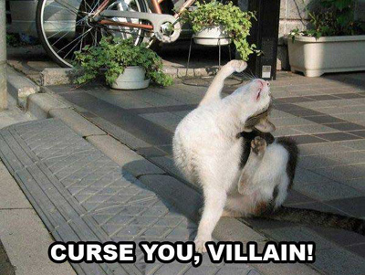 http://reho.st/preview/remainsofthedesi.files.wordpress.com/2007/07/lol-cats-2-final.jpg