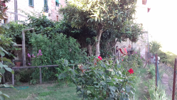 http://reho.st/preview/self/d415d340e79055b97d5d3b6ebca49a79661cc71e.jpg
