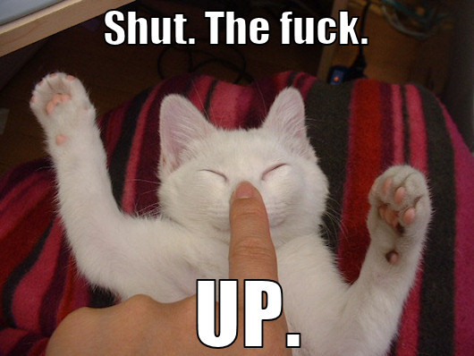 http://reho.st/preview/trollcats.com/wp-content/uploads/2009/08/shut_the_fuck_up_trollcat.jpg