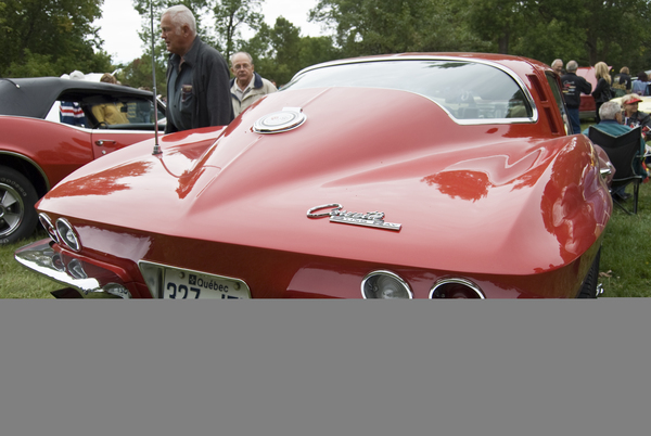 http://reho.st/preview/upload.wikimedia.org/wikipedia/commons/5/54/Chevrelet_Corvette_Sting_Ray.jpg