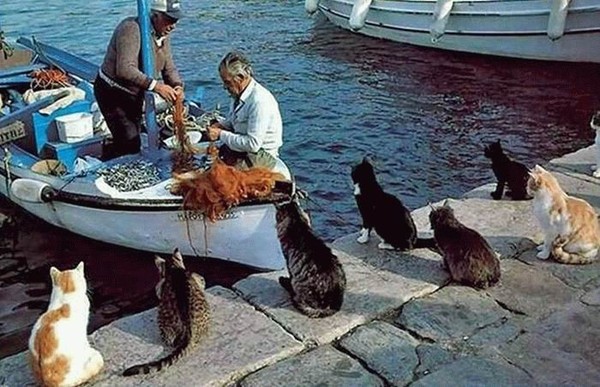 http://reho.st/preview/warnet.ws/img3/88/funpics_34.jpg
