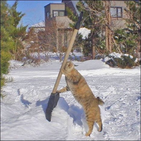http://reho.st/preview/warnet.ws/img3/88/funpics_45.jpg