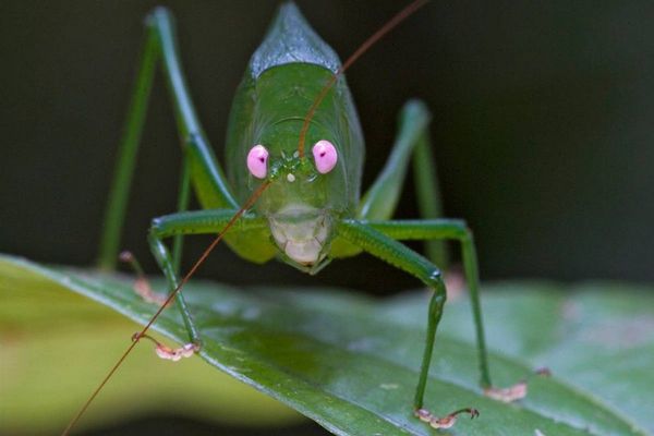 http://reho.st/preview/warnet.ws/img5/53/ziv/1.jpg