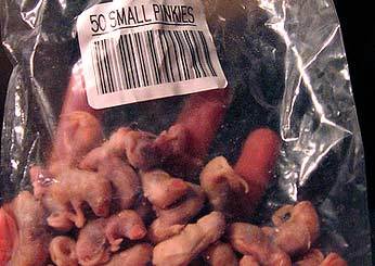http://reho.st/preview/www.crystalkiss.com/wp-content/uploads/2010/10/Worlds-Scariest-Foods3.jpg