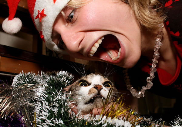 http://reho.st/preview/www.davinciinstitute.com/new/admin/content/FCKeditor/uploads/cat%20screem.jpg