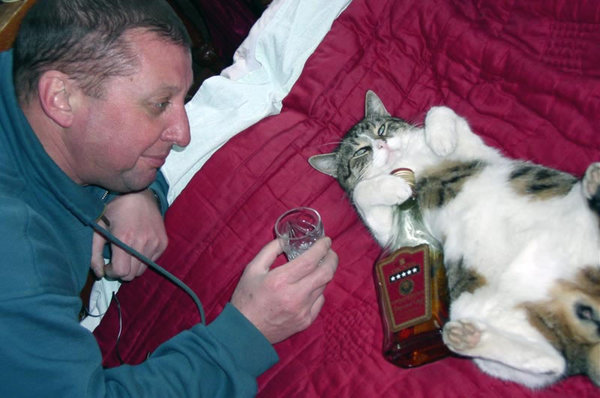 http://reho.st/preview/www.davinciinstitute.com/new/admin/content/FCKeditor/uploads/heres%20to%20you%20my%20little%20pussy.jpg