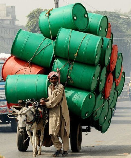 http://reho.st/preview/www.impactlab.net/wp-content/uploads/2010/10/Mule-Shortage-873.jpg