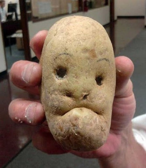 http://reho.st/preview/www.impactlab.net/wp-content/uploads/2010/10/Potato-Man-783.jpg