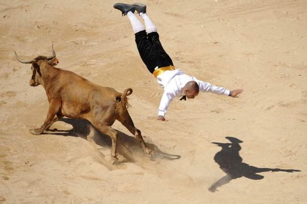 http://reho.st/preview/www.impactlab.net/wp-content/uploads/2010/10/Superman-Matador-380.jpg