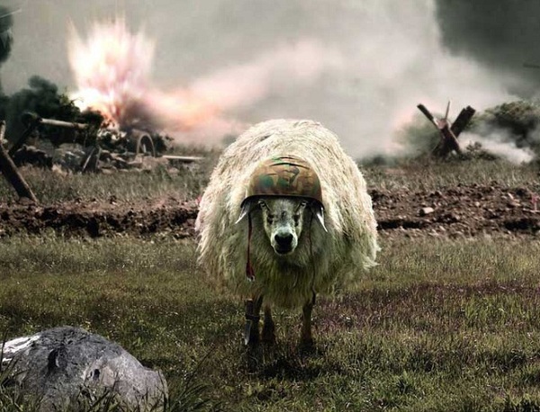 http://reho.st/preview/www.impactlab.net/wp-content/uploads/2010/10/The-Sheep-of-War-672.jpg