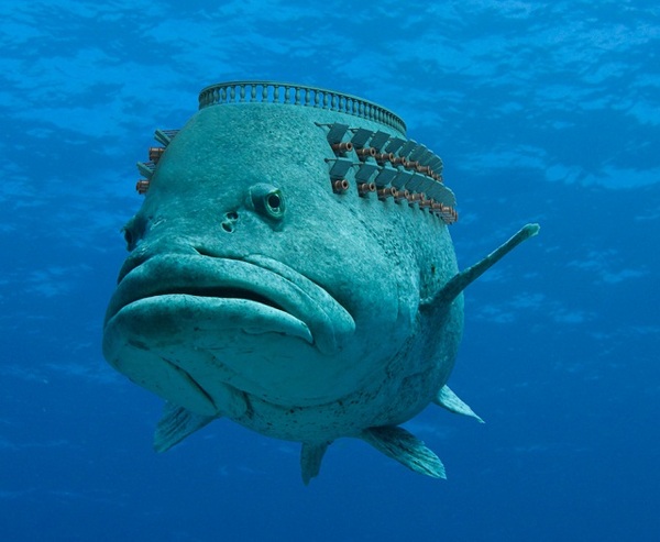 http://reho.st/preview/www.impactlab.net/wp-content/uploads/2010/11/Battlefish-562.jpg