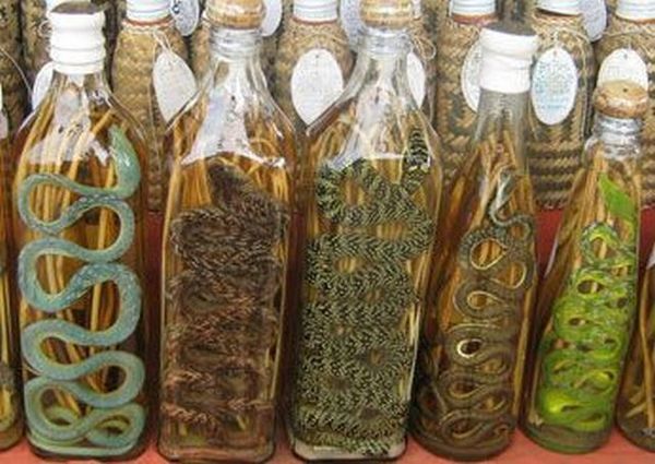http://reho.st/preview/www.impactlab.net/wp-content/uploads/2010/11/Bottled-Snakes-333.jpg