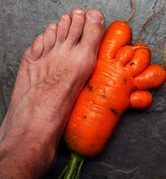 http://reho.st/preview/www.impactlab.net/wp-content/uploads/2010/11/Carrot-Foot-219.jpg