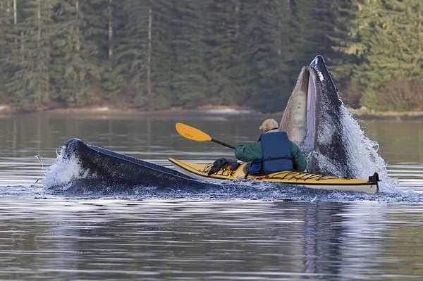 http://reho.st/preview/www.impactlab.net/wp-content/uploads/2010/11/Kayaker-Lunch-678.jpg