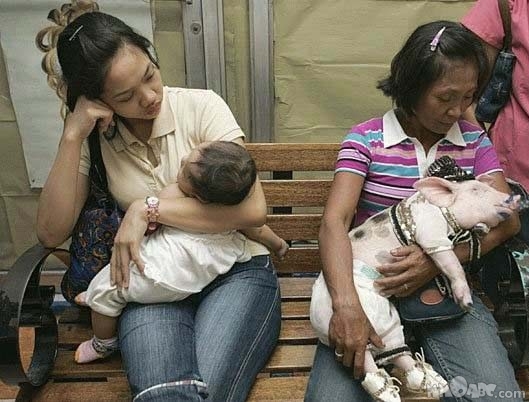 http://reho.st/preview/www.impactlab.net/wp-content/uploads/2010/11/Ugly-Baby-Competition-229.jpg