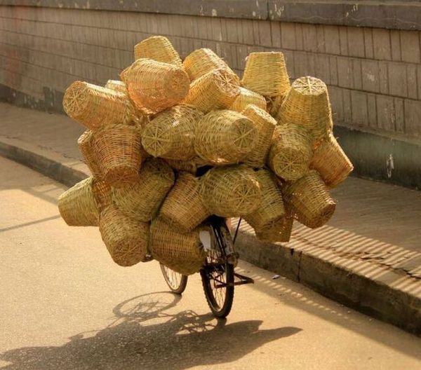http://reho.st/preview/www.impactlab.net/wp-content/uploads/2010/12/Basket-Biker-498.jpg