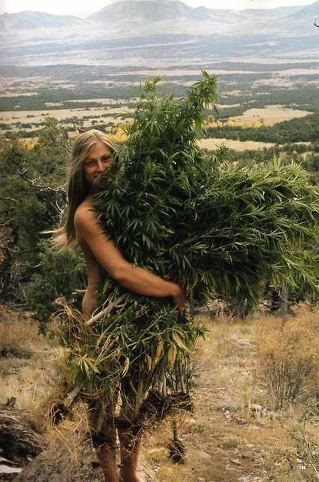 http://reho.st/preview/www.impactlab.net/wp-content/uploads/2010/12/Bush-People-767.jpg