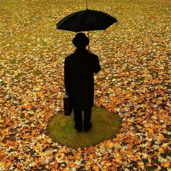 http://reho.st/preview/www.impactlab.net/wp-content/uploads/2010/12/The-Leaf-Moses-672.jpg