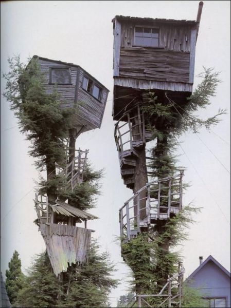 http://reho.st/preview/www.impactlab.net/wp-content/uploads/2010/12/Treehouse-Neighbors-883.jpg