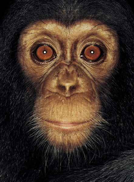 http://reho.st/preview/www.jamesmollison.com/images/Arron.jpg
