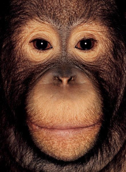http://reho.st/preview/www.jamesmollison.com/images/Bonny.jpg