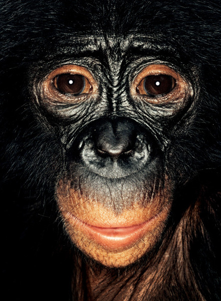 http://reho.st/preview/www.jamesmollison.com/images/Dilolo.jpg