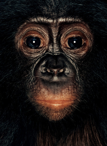 http://reho.st/preview/www.jamesmollison.com/images/Fizi.jpg