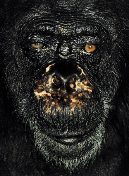 http://reho.st/preview/www.jamesmollison.com/images/Gregoire.jpg