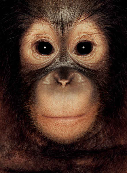 http://reho.st/preview/www.jamesmollison.com/images/Haidar.jpg