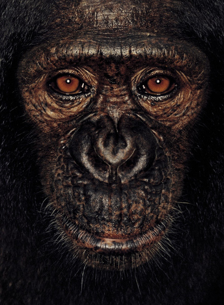 http://reho.st/preview/www.jamesmollison.com/images/James.jpg