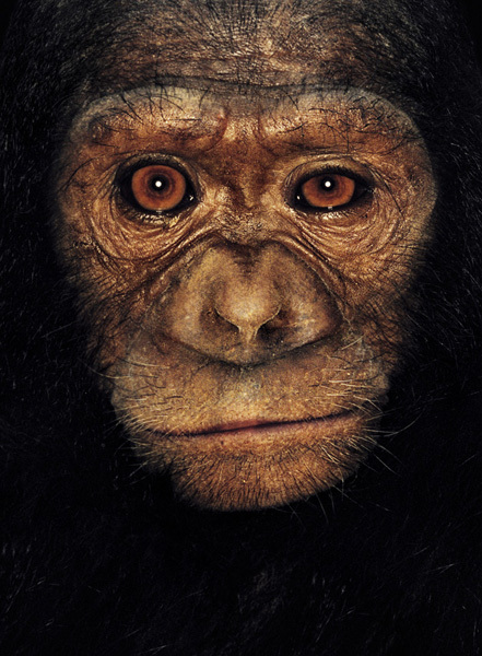 http://reho.st/preview/www.jamesmollison.com/images/Katie.jpg