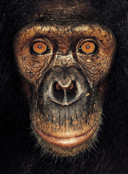 http://reho.st/preview/www.jamesmollison.com/images/Liana.jpg