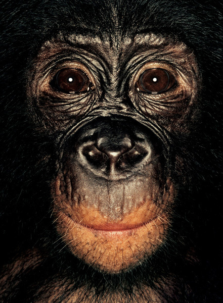 http://reho.st/preview/www.jamesmollison.com/images/Likasi.jpg
