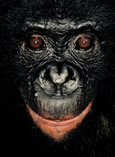 http://reho.st/preview/www.jamesmollison.com/images/Lisala.jpg
